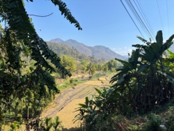 ffa490e2-cb73-42c6-bfc0-b5eeee5195b6