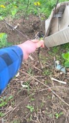 c460b8d0-18ed-4d75-b736-3f82365c9202