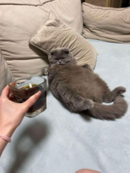 781ac67e-8061-42ee-ad02-423f575a12d0