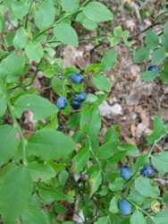 1eb8ecd1-b7ce-4896-a8de-7f73ba84a8a6