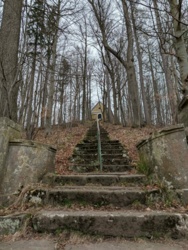 a1ad70bd-0666-4524-8ce4-c3fb0b8c0426