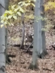 0cb63cf3-1dda-4b14-aaa6-4f9a704df05a