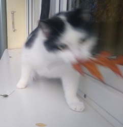 ae7d93e5-4da3-4dce-847e-92f1f528b792