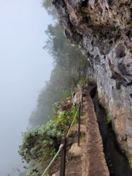 c69381bc-467d-4445-ad56-df70294b2c88