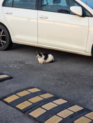 ee04cae8-8f1f-48b2-aa07-48f9c715e664