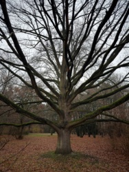 f86d2e32-e2cf-49b8-b22b-a134cb77f6fa