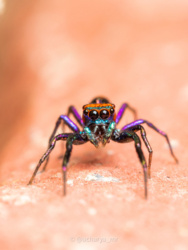 a1ba0a3b-e4d3-4c0b-b402-9fc2e1f204be