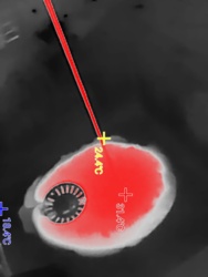 1ee11495-b9ce-4165-a3dc-ad4bbddd0535