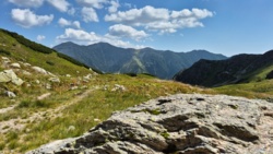 f6083b9f-83c9-4d14-95e5-ecd96334b497