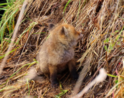 678ec3da-20e3-4bbd-ba88-081d169ad080