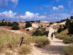 9abe6833-0023-4e4f-a764-2042aa8cea24