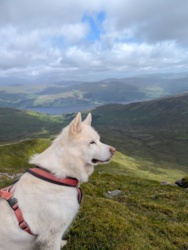 a9ca2bea-a3db-4f3c-b4e8-0d77d9ce7504