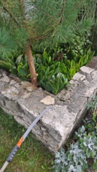 91736dad-374c-4e00-9d5e-922c5bb48771