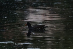 f097d879-7981-43ff-8f55-94e383a7c0a3