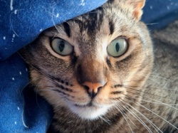 fa5c5456-c2aa-4442-8dbf-30a264c1f576