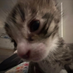 c65782ca-0a8e-4a39-add2-474d017d3a74