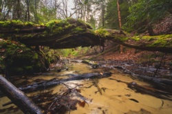 b84a8f98-7569-4009-87f2-19246992a494