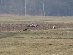 160d0f69-6528-4253-8114-5238a66c03be