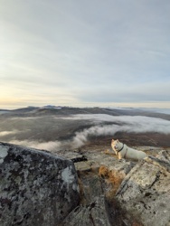 99054c03-3699-47d4-80b6-01989df2c42a