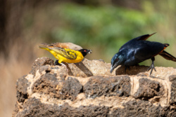 2d8b1d22-abf1-4a06-be73-b8cb33a474d9