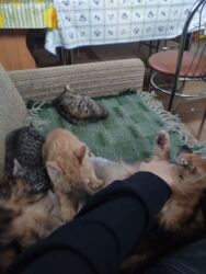 94a00d2f-58c0-485a-8770-5e92e16f982d