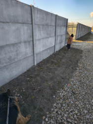 d4a8846c-6dd7-4d64-9679-cc3a8717c28a