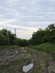 556a456e-4ad4-4b80-b322-3c7125152894