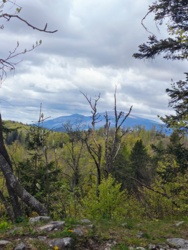 ac68da08-2597-4e4c-a146-884099ef8305