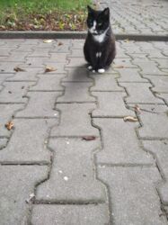 e2609947-41f5-4f4a-a5a2-c00944e607fd