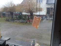 85e3a904-2128-430f-b9ba-d74db31ff974