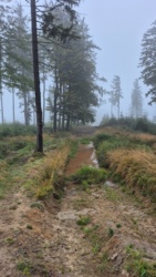 8288c20f-9e7c-45cb-9e5e-36b83aec0d70