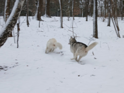 e954236d-ade3-4b62-973a-79a980b8c63b