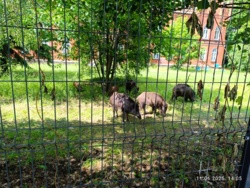 7ec1dedc-2a7a-47d8-9a71-6f1c5c0ded76