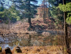 b6fad69c-9e67-4997-bc5e-1a6620d65ebe