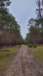 6b06f833-7265-464c-908d-1d9467580495