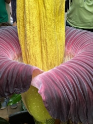 d40a58f8-addb-4a43-8e00-df4d0b539574