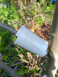 47d633f9-45df-4604-9c56-9862d8aa2be4