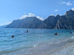 73903a67-83fb-40f7-8997-a2db65415725