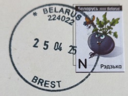 c7439c97-e640-474b-ac59-a83bd520c4eb