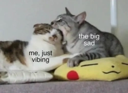 b00bc09a-27f5-4de1-aefb-602cc0a037aa