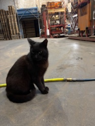 a57d1f58-1a3e-4459-960d-0e46920c7a90