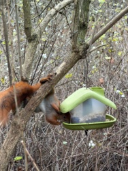 d6527fe3-ad60-49c1-a0f4-3b7ab7823512