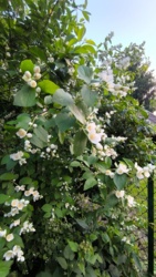 9c2de0b9-879a-4b9f-a4a3-7d2933136556