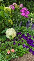 d4b54829-0291-46cb-ab92-5bf2f61daa3f