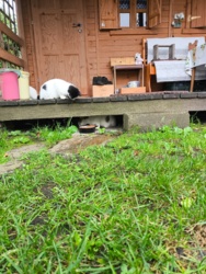 10c65be7-ae56-42dc-9ac0-573aab9e6451