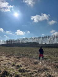 2f89cecf-3d97-47d3-ad5a-afb8a75bd18f