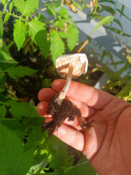 406c2dec-0c1a-4674-bb18-ebcc41365a51