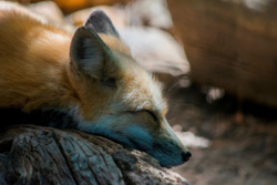 f2d89c3d-e172-465e-b9a0-6276f11e88a0