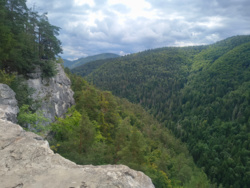 96bd5c9e-ad10-4bbe-aacd-0747054d30cd