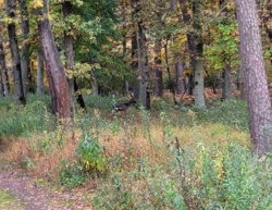 8179235d-d876-4b64-a229-0433ccd17b07